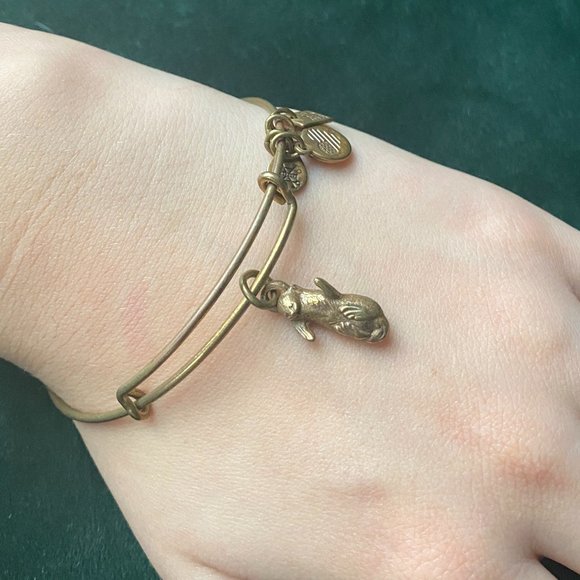 Alex and Ani "Side by Side" Otter Bracelet | Gold - Picture 2 of 7
